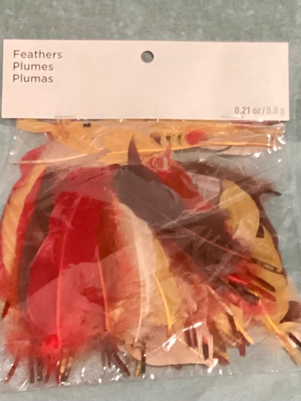 Autumn Feathers (20)